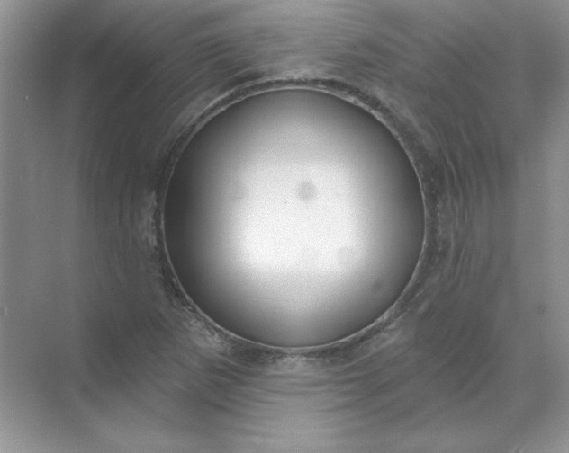 X0000071961265200607212243