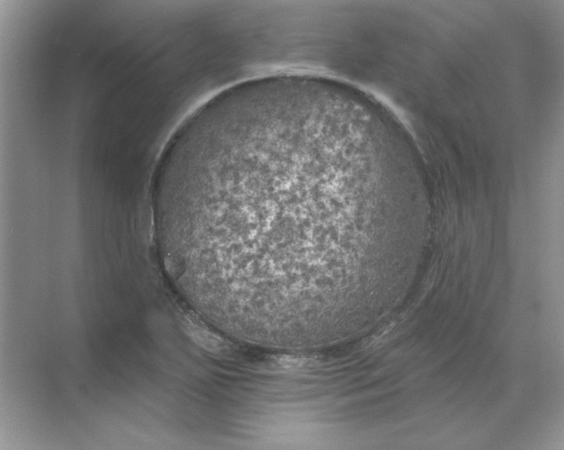 X0000071961271200607212243