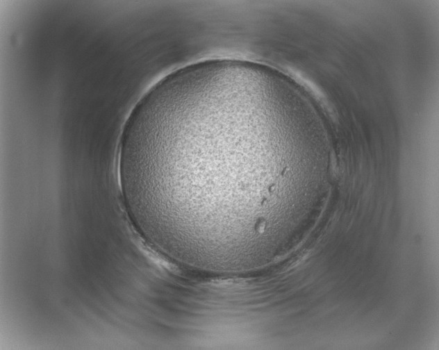 X0000071961272200607212243