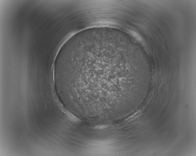 X0000071961275200607212243