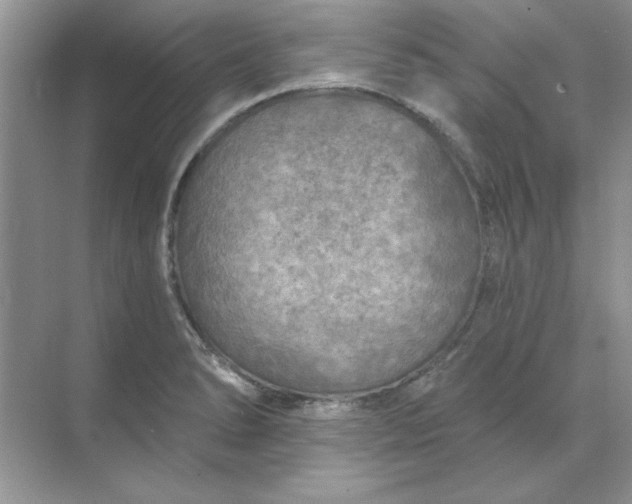 X0000071961278200607212243