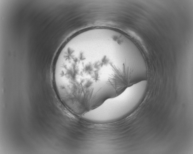 X0000071961280200607212243