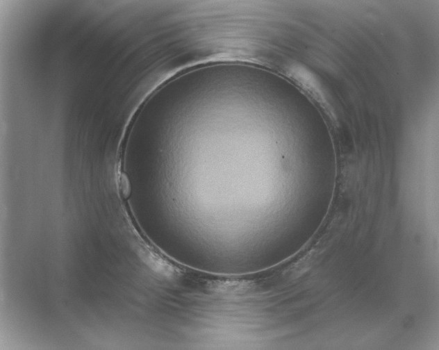 X0000071961284200607212243