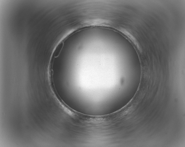 X0000071961285200607212243