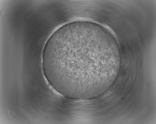 X0000071961287200607212243