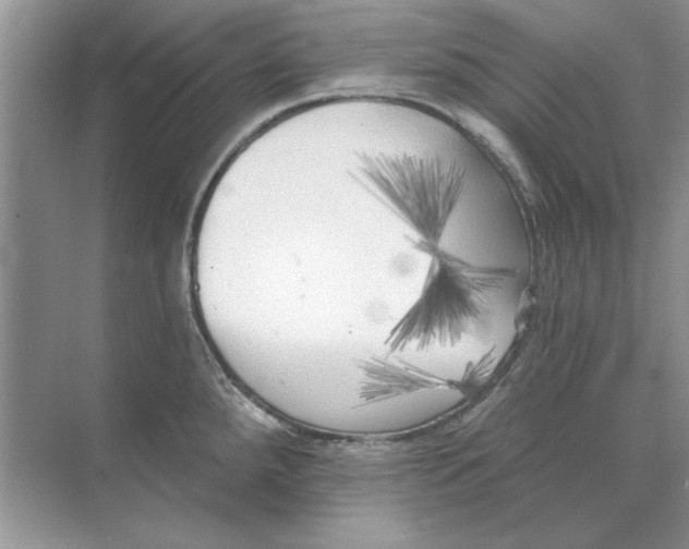 X0000071961288200607212243