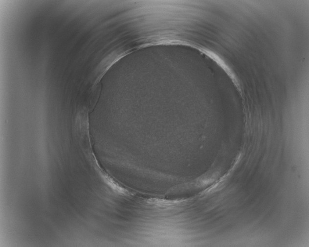 X0000071961289200607212243