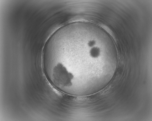 X0000071961290200607212243