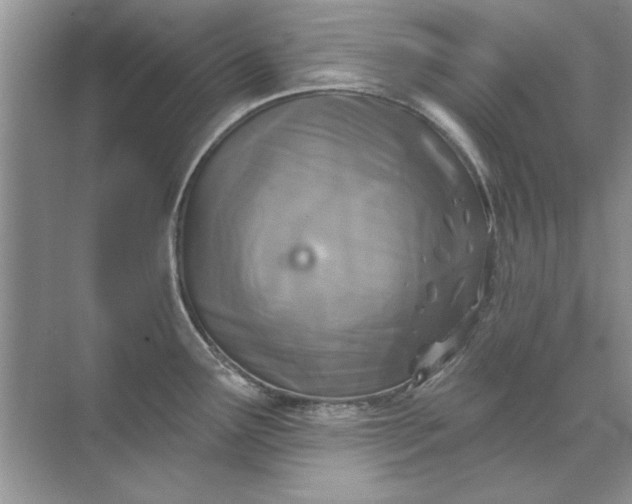 X0000071961291200607212243