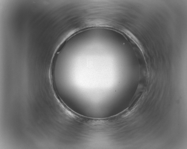 X0000071961293200607212242