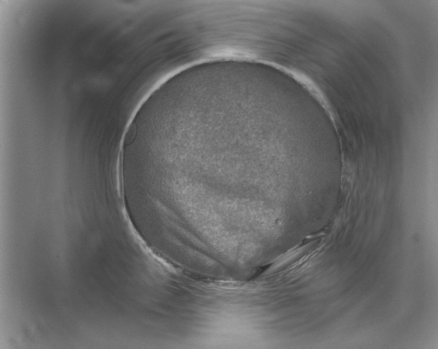 X0000071961295200607212242