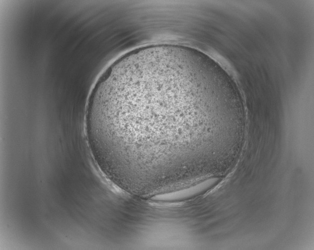 X0000071961296200607212242