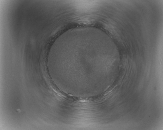 X0000071961297200607212242