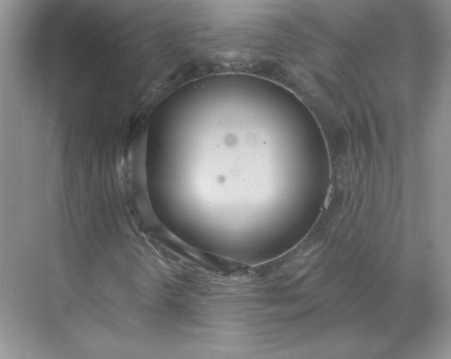 X0000071961298200607212242