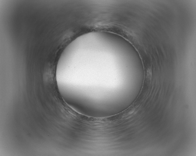 X0000071961300200607212242