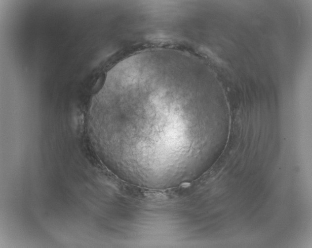 X0000071961302200607212242