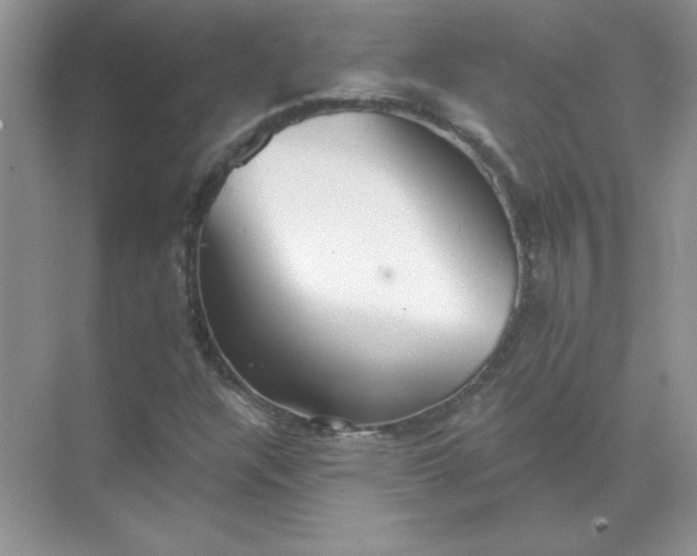 X0000071961304200607212242