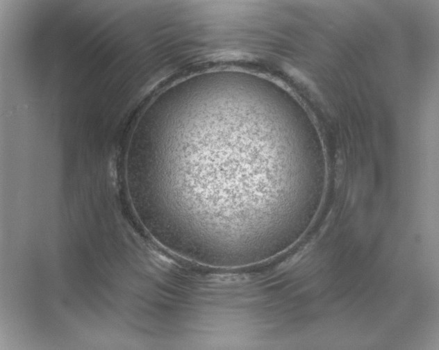 X0000071961305200607212242