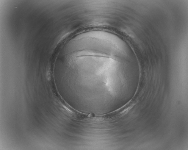 X0000071961306200607212242