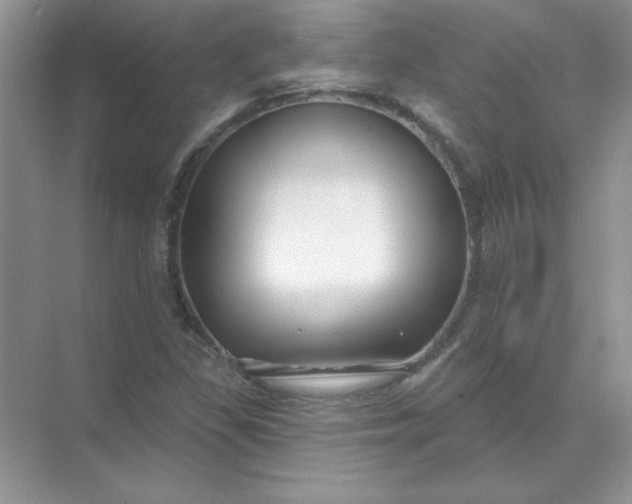 X0000071961309200607212242