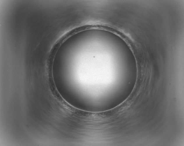 X0000071961311200607212242