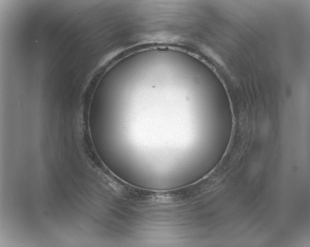 X0000071961315200607212242