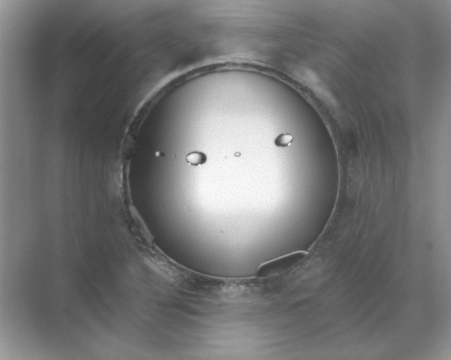 X0000071961316200607212242