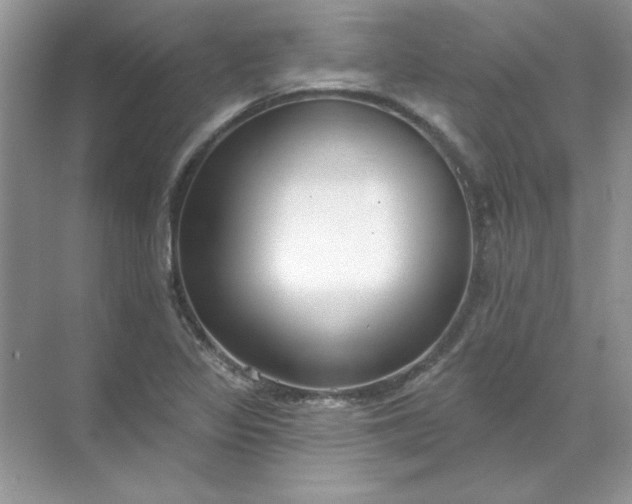 X0000071961317200607212242