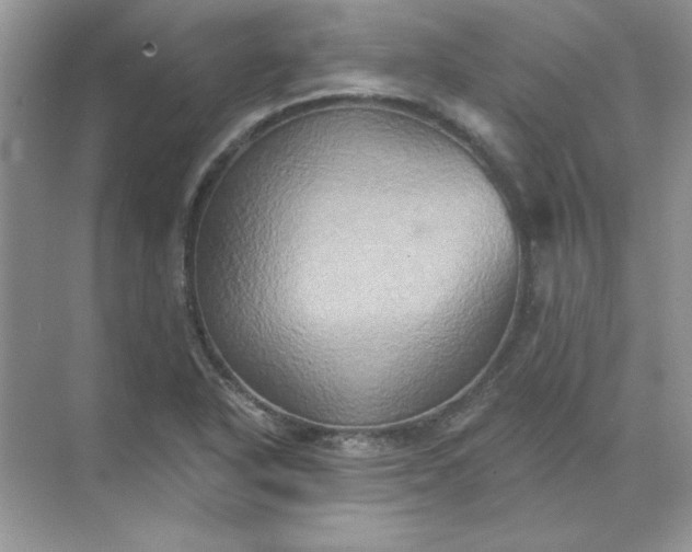 X0000071961318200607212242