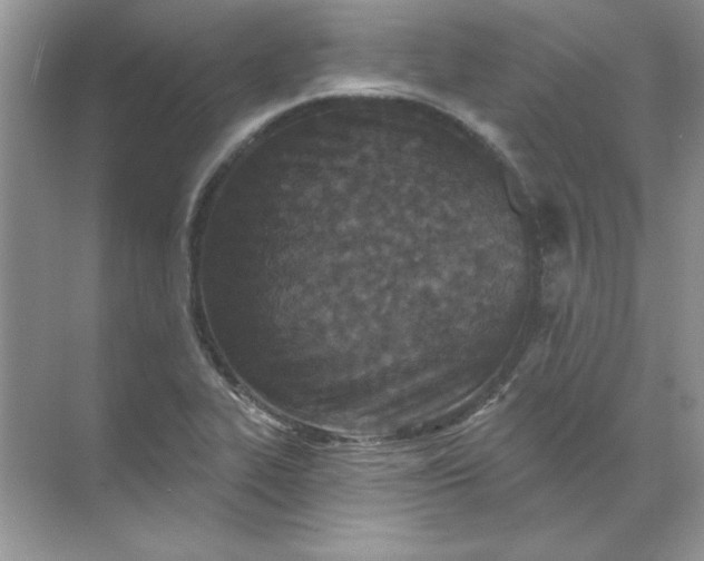 X0000071961319200607212242