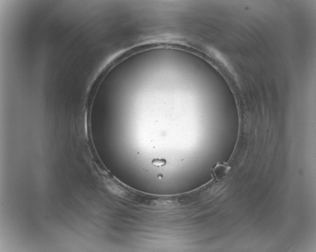 X0000071961320200607212242