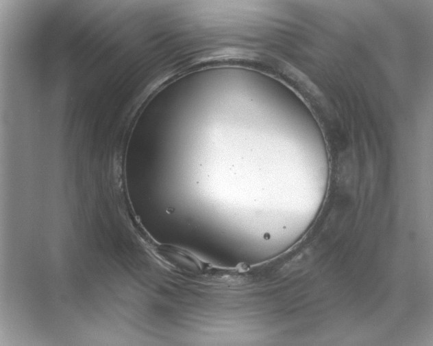 X0000071961321200607212242