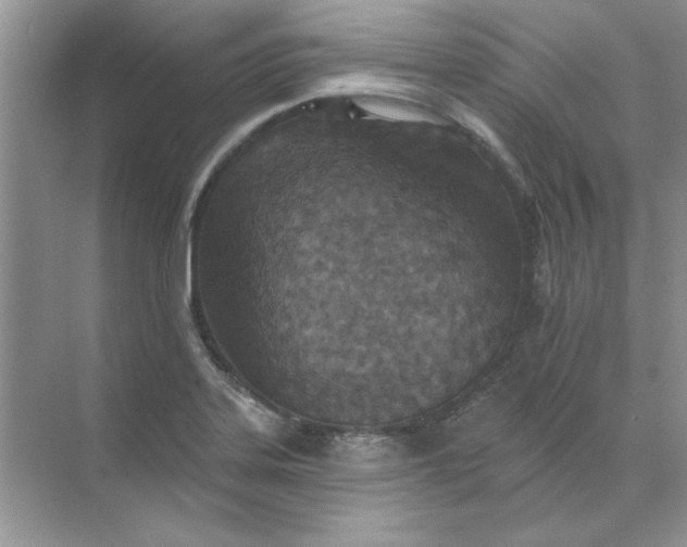 X0000071961323200607212242