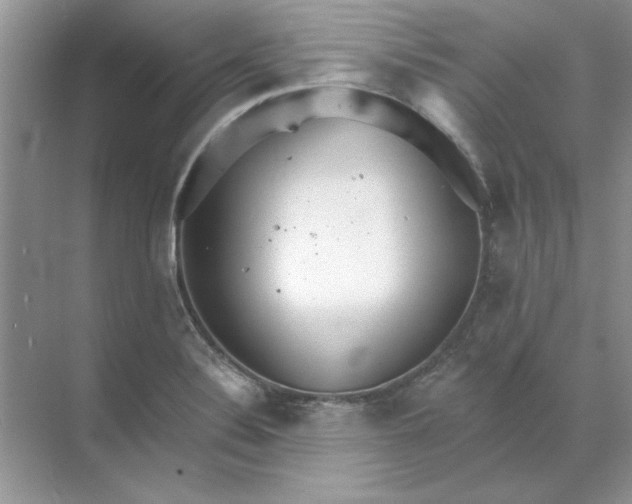 X0000071961324200607212242