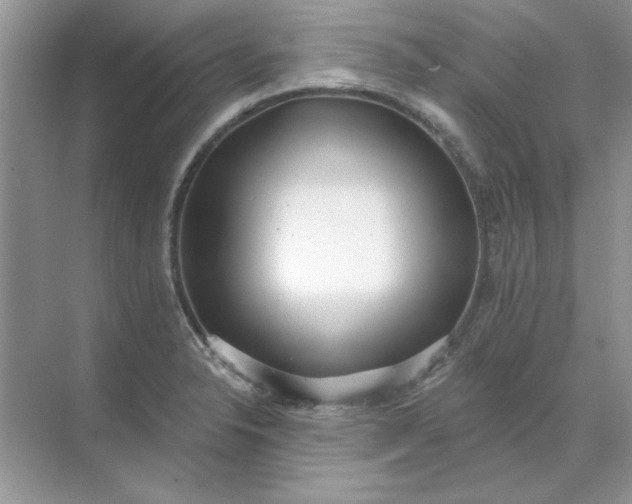 X0000071961326200607212242