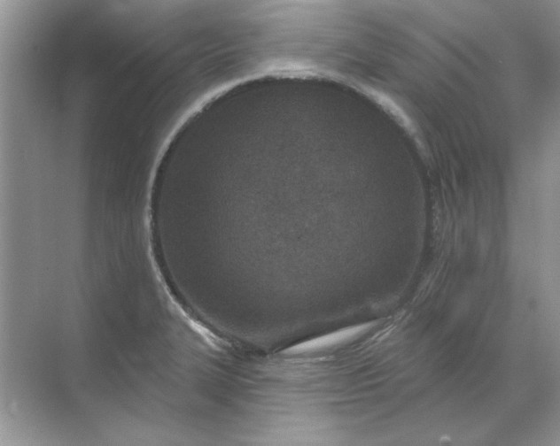 X0000071961327200607212242