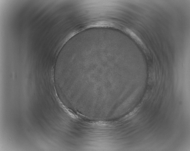 X0000071961329200607212242