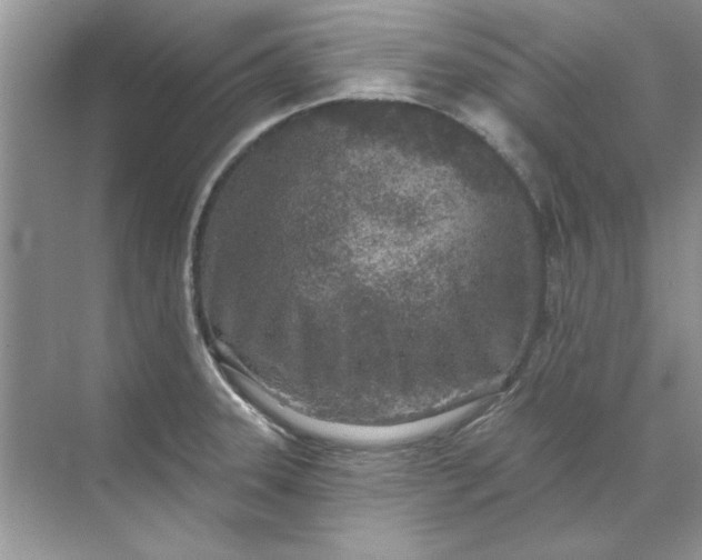 X0000071961331200607212242