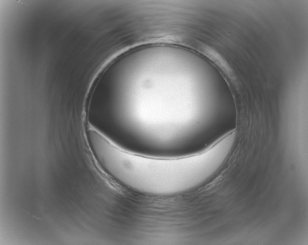 X0000071961332200607212242