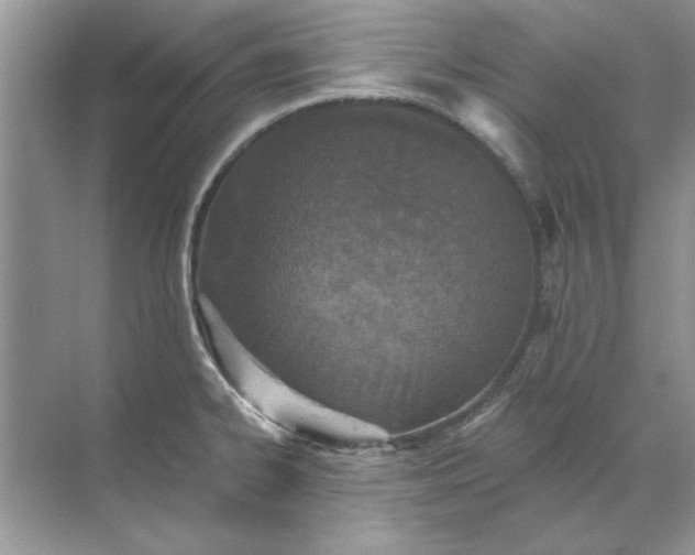 X0000071961334200607212242