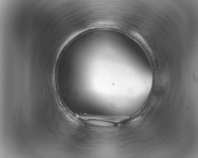 X0000071961336200607212242