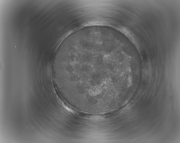 X0000071961337200607212242