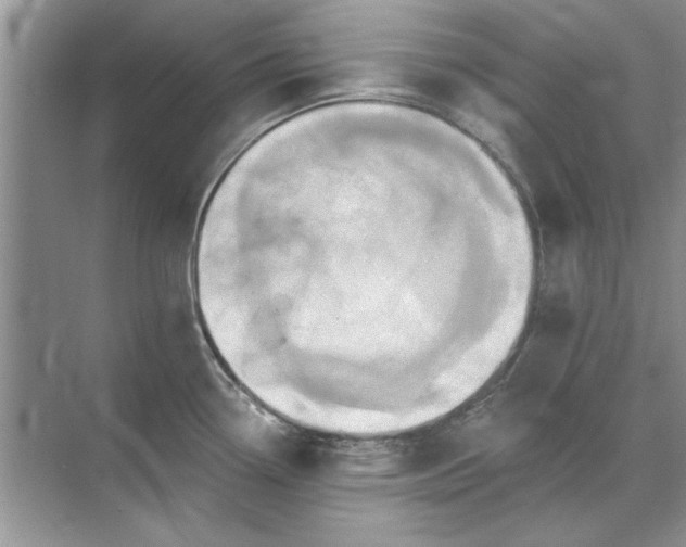 X0000071961338200607212242