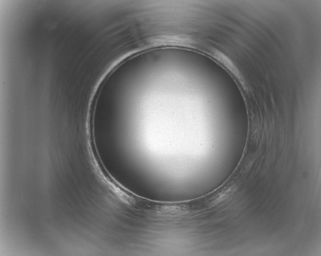 X0000071961339200607212242