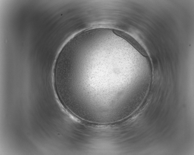 X0000071961341200607212242