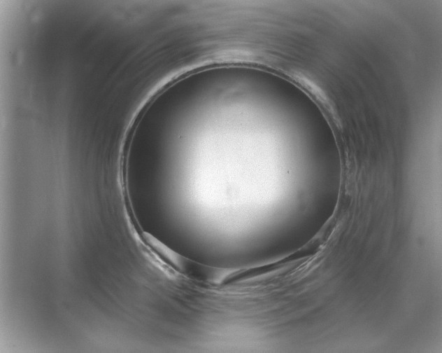 X0000071961342200607212242