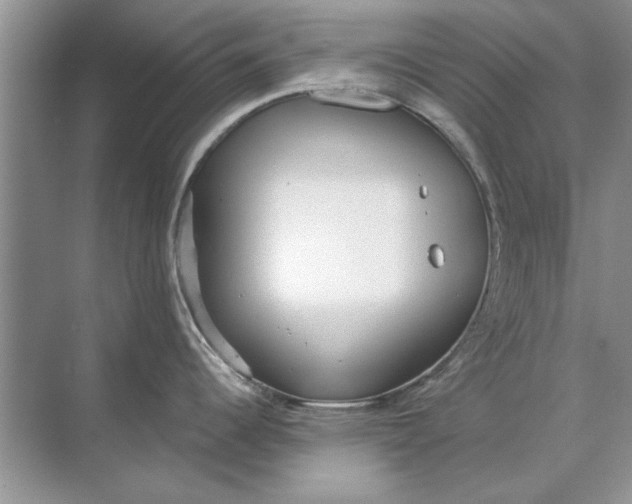 X0000071961344200607212242