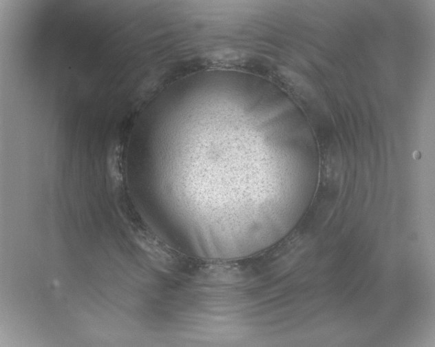 X0000071961346200607212242