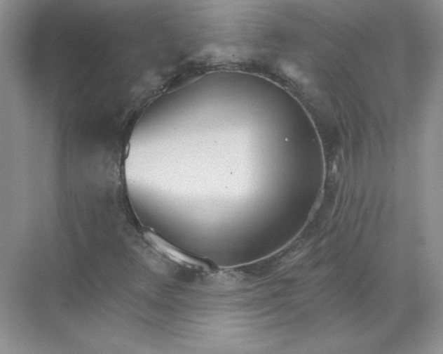 X0000071961348200607212242