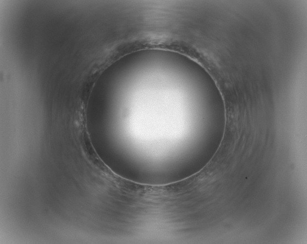 X0000071961349200607212242